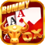 rummy 51 bonus download