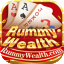 new all rummy icon